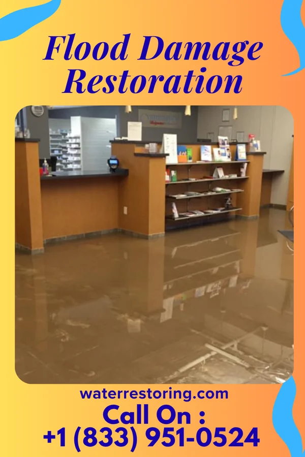 Flood Damage Restoration in Meire Grove, MN