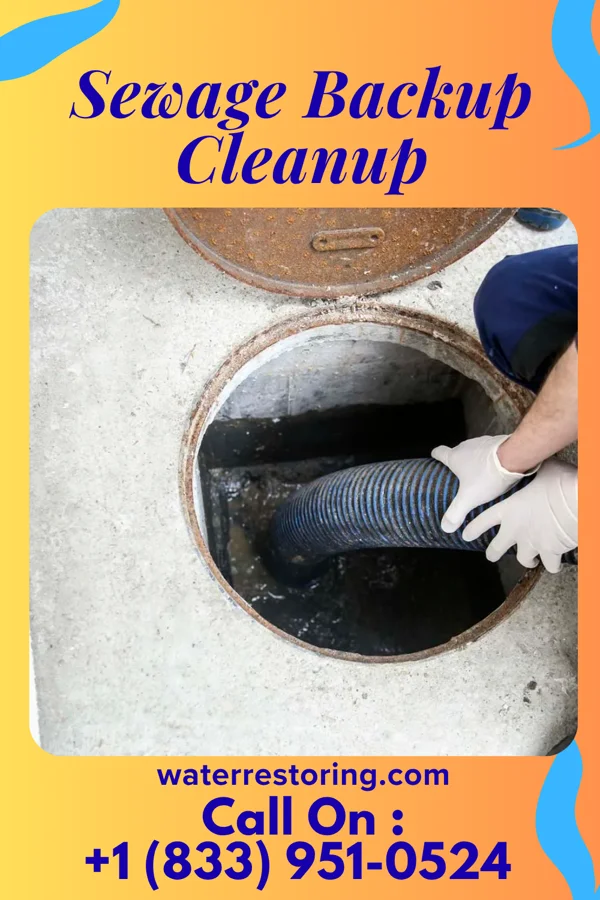 Sewage Backup Cleanup in Meire Grove, MN