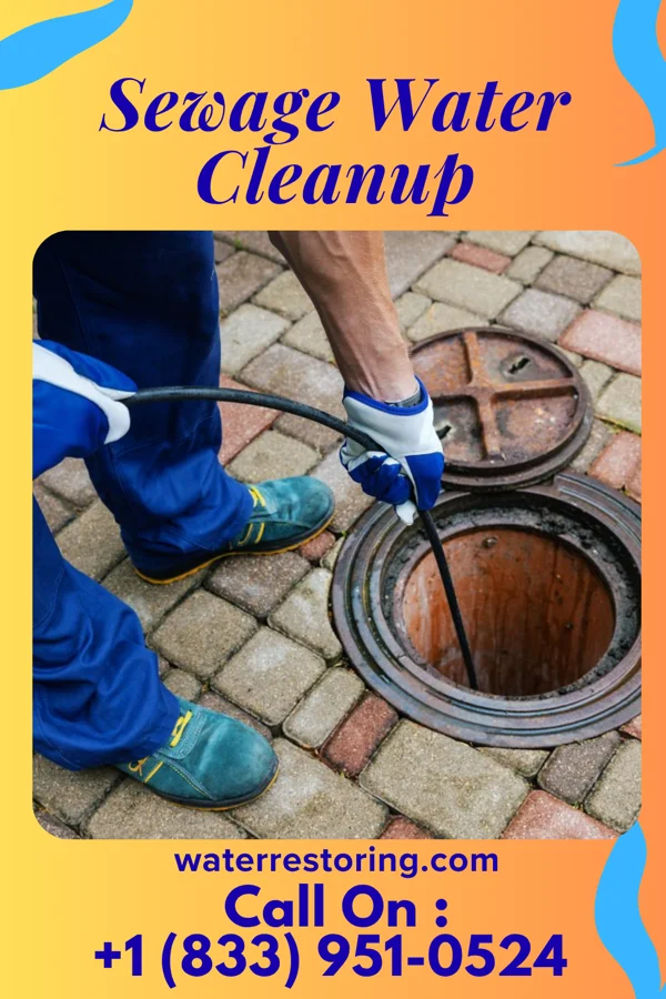 Sewage Water Cleanup in Meire Grove, MN